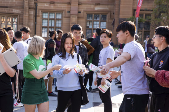 International students at the University of Sydney have embraced campus life, including by contesting SRC elections.