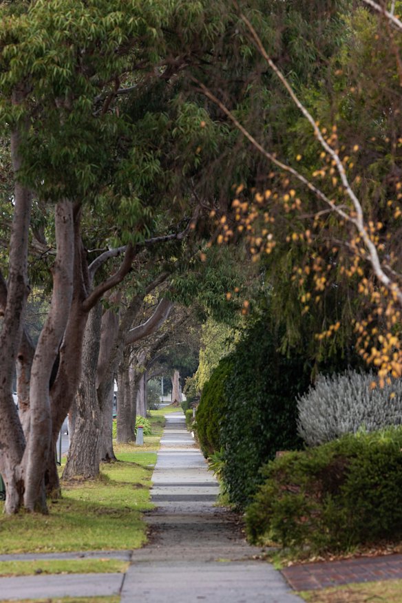 Tall trees shade a footpath in Rowville.