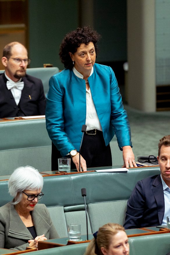 Independent member for Kooyong, Monique Ryan, is planning to introduce a new bill to lower Australia’s voting age.