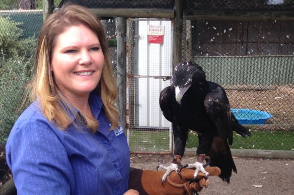 Yvonne Sitco with Micro, a juvenile Wedge-tailed eagle.