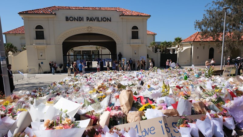 Man accused of faking injuries after Bondi massacre faces deportation