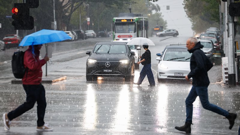 Warmest June night to duck’s delight: Dreary Melbourne weather here to stay
