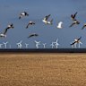 Hostility from local communities to offshore wind farms is threatening the government’s renewable energy ambitions.