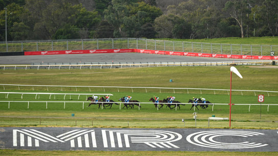 The Melbourne Racing Club board has been torn apart over a range of issues in recent times.