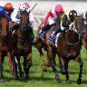 Race-by-race guide and tips for Port Macquarie on Friday