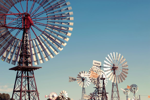 COMET. PENONG, 2021. I came across the impressive sight of the biggest windmill in Australia – a Comet wind pump known as Big Bruce – in Penong, on the edge of the Nullarbor Plain in the state’s far west. The Comet occupies the foreground of this photo, towering over a clutch of other windmills in an outdoor museum the locals created to preserve an important part of our farming heritage (windmills have been increasingly superseded by solar pumps). I’d heard about the museum but stumbled across it by accident, the utilitarian beauty of the blades spiking my curiosity.