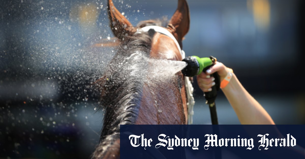 Tips and race-by-race guide for Coffs Harbour on Tuesday