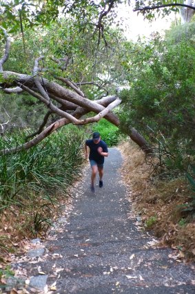 Kokoda Track Memorial Walk. The lack of symmetry adds to the challenge.