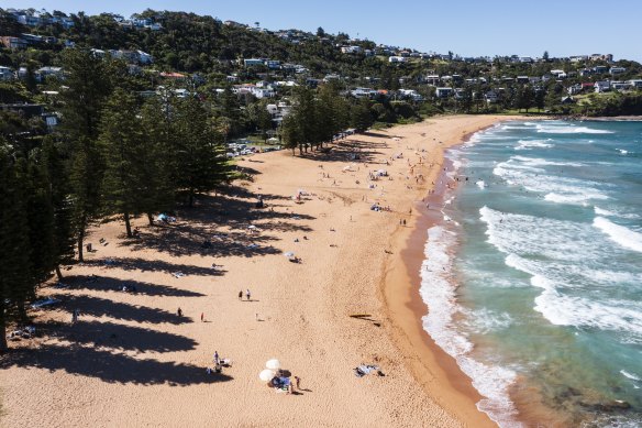 Whale Beach.