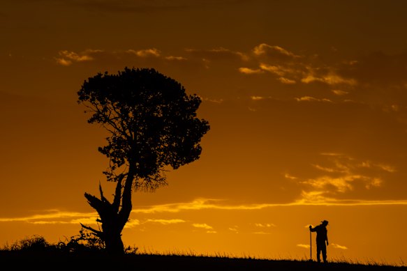 Temperatures across Victoria hit 40 plus and broke records this week. 