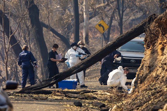 Forensic police inspect a body discovered on a forested stretch of Yarck Road, Gobur. 