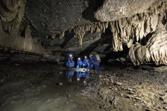 Explore subterranean beauties with Wild Cave Adventures.