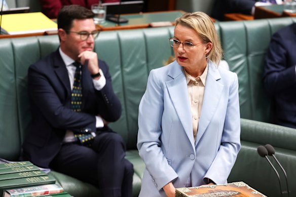 Sussan Ley in question time today. 