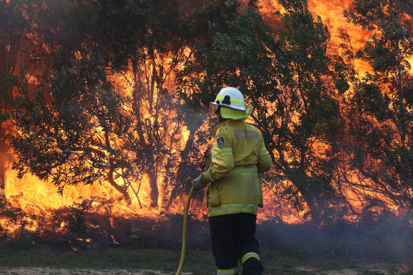 Fires burnt for weeks in the regions around Grafton.