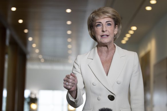 Shadow attorney-general Michaelia Cash last week.