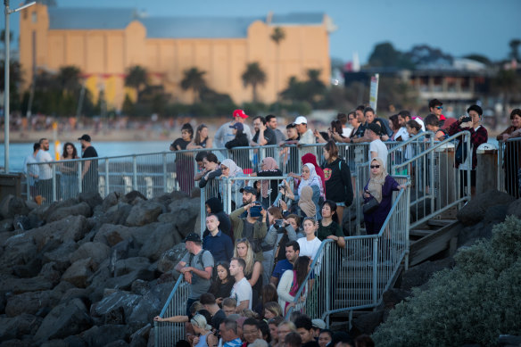 The St Kilda penguin colony has become a popular tourist destination.