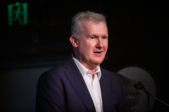 Tony Burke, who is minister for both arts and workplace relations, speaking at the launch of the policy on Monday. 