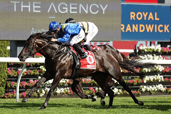 Royal Patronage and Tim Clark combine to win the Canterbury Stakes at Randwick last year.