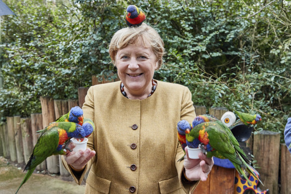 Soon-to-retire German chancellor Angela Merkel, feeding Australian lorikeets at a park in Marlow, Germany, Thursday September 23, 2021. 