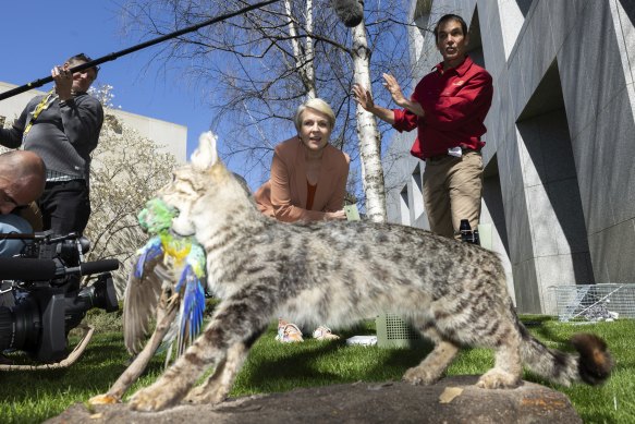 Tanya Plibersek watches a demonstration of a feral cat trap.