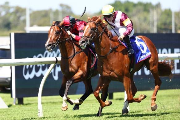 Linebacker gets the better of Anode to win the Baillieu Handicap.