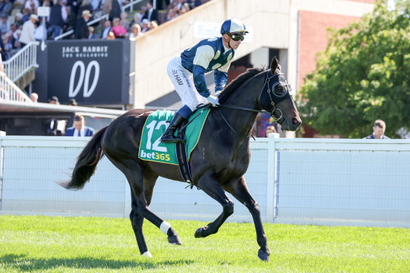 Interpretation at the Geelong Cup earlier this year.