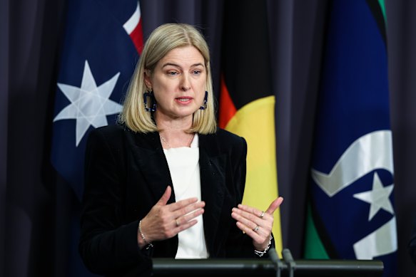 Minister for Agriculture, Fisheries and Forestry Julie Collins speaking at Parliament House, Canberra, on Tuesday morning. 