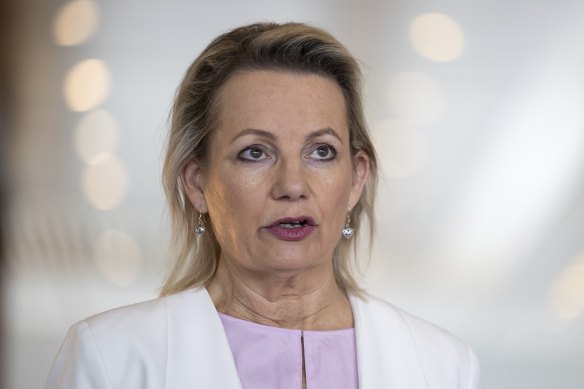 Deputy Opposition Leader Sussan Ley has raised concerns about the women and children repatriated from Syria.