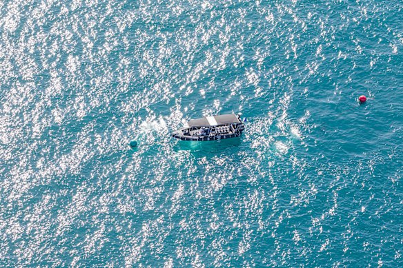 About 2.5 kilometres offshore, dive boats reach the site in minutes. 