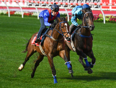 Zaaki and stablemate Mo’unga have a spin around Moonee Valley on Tuesday.