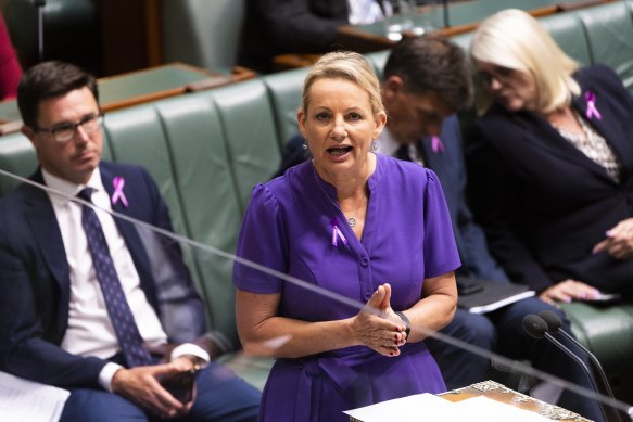 Deputy opposition leader Sussan Ley.