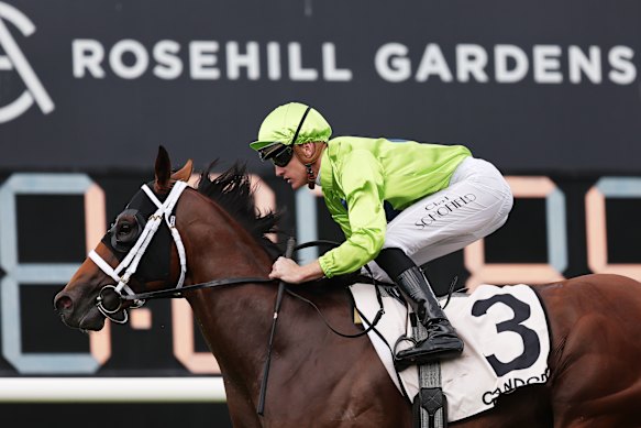 Racing returns to Rosehill on Monday.