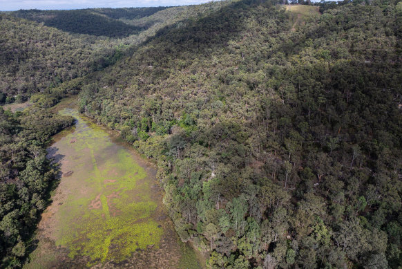 The wetland in a valley below the Wheeny Creek site.