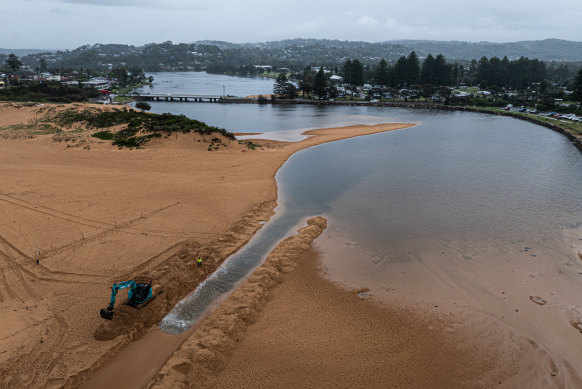 Northern Beaches Council is excavating Narrabeen Lagoon.