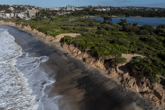 Beach and sand dune erosion in Dee Why on Sydney’s northern beaches.