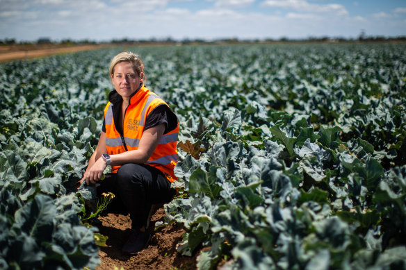 Catherine Velisha says the repercussions of the labour shortage have yet to be felt and the emotional and financial burden on farmers will be dire.