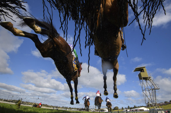 Warrnambool races are a feature of Victorian life early in the AFL season.
