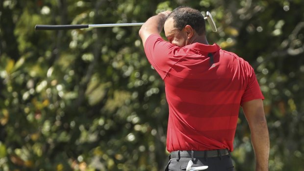 Heating up: Tiger Woods wipes his brow after a putt during the Arnold Palmer Invitational.