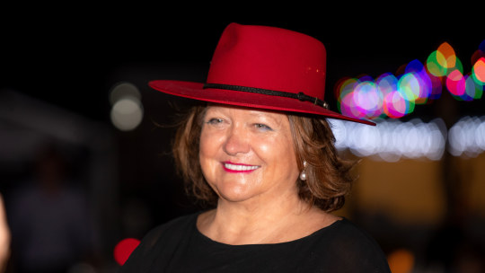 Gina Rinehart’s private company  has delivered close to $20 billion in profit over the past four years.
