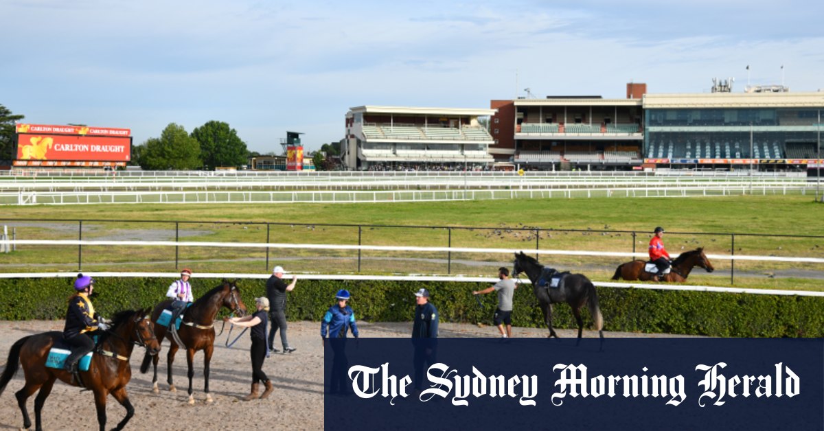 Ending spring carnival with delayed bang was risk worth taking: MRC