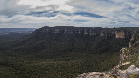 The NSW government has bought the Radiata Plateau, 300 hectares of Blue Mountains bushland.