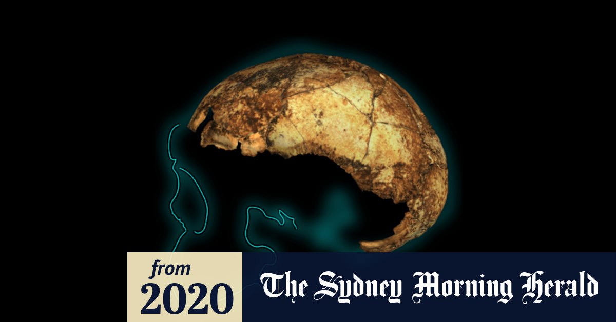 The two million year old skull rewriting the story of humanity
