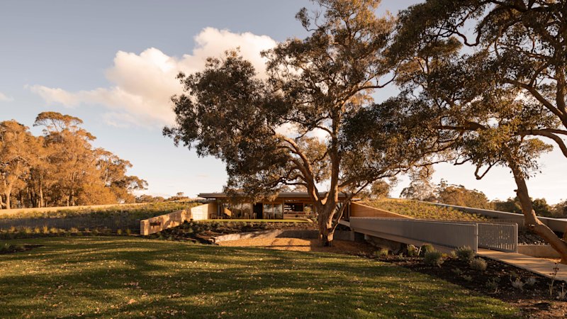 Sydney, Are We Ready For Fine Dining's New Wild Child?