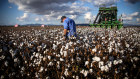 A farmer in Gunnedah. The cotton industry is made up of major businesses and smaller, family-run operations.