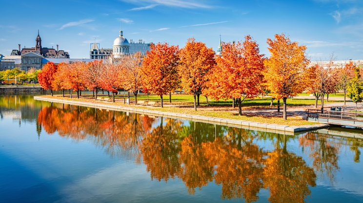 It’s the ultimate autumn trip, but this cruise is brilliant any time