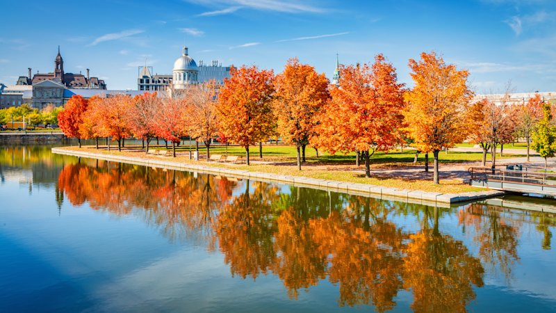 It’s the ultimate autumn trip, but this cruise is brilliant any time (australia) — SMH