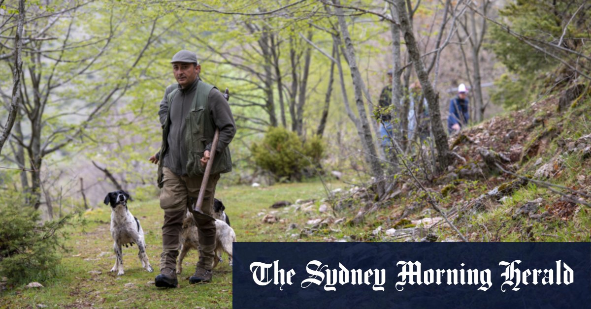Truffle hunting in Umbria, Italy