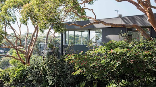 Trees and shrubs are living, growing things. For some home owners, that’s the problem.