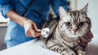 Jefferies highlights VetPartners “successful M&A track-record resulting in 228 clinics acquired since 2016.