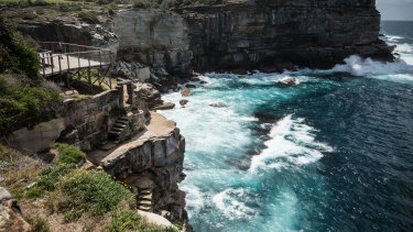 Woman Dies At Selfie Spot In Sydney S East